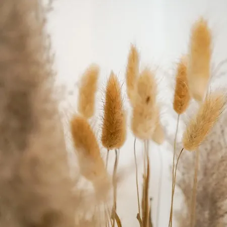 Homy I Stilvolles Gohlis Netflix & W-lan * Λειψία