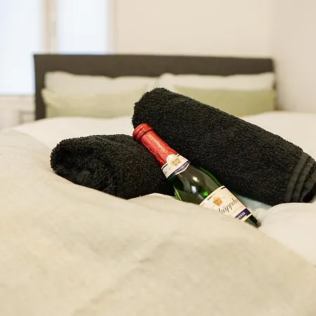 Apartment Homy I Stilvolles Gohlis Netflix & W-lan Leipzig