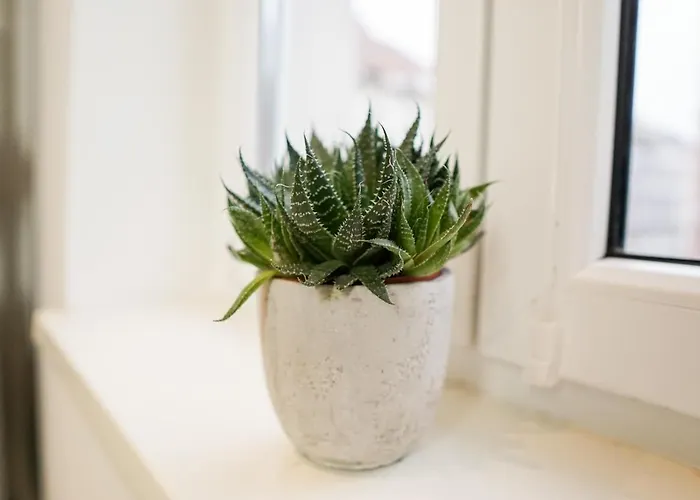 Homy I Stilvolles Gohlis Netflix & W-lan Apartmán