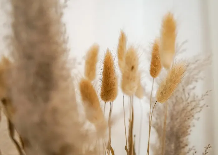 Homy I Stilvolles Gohlis Netflix & W-lan * Lipsko